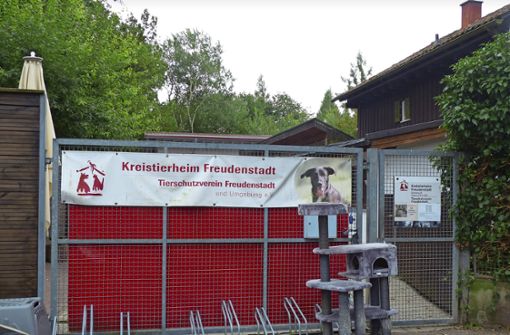 Gegen das Kreistierheim Freudenstadt gibt es eine ganze Reihe an Vorwürfen. Foto: Franze