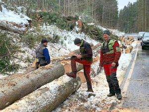 Die Mitarbeiter beseitigen das Sturmholz. Foto: Brauner Foto: Schwarzwälder Bote
