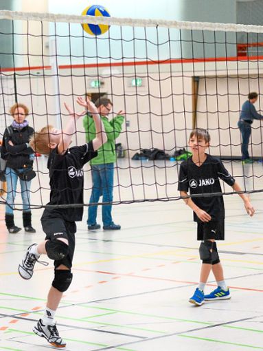 Die U12-Volleyballer des TSV Rottweil spielen um die Württembergische Meisterschaft mit. Foto: Estermann Foto: Schwarzwälder Bote