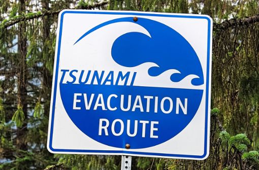 Tsunami-Warnung (Symbolbild) Foto: PantherMedia / Amelia Martin/Amelia Martin