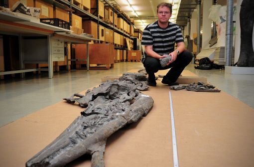 Der Paläontologe und Saurierexperte Rainer Schoch präsentiert stolz den Schwäbischen Seedrachen. Foto: dpa