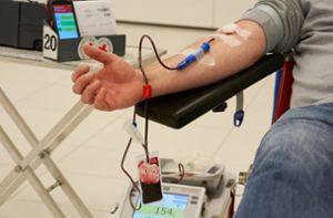 Auch homosexuelle Männer sollen künftig Blut spenden dürfen. (Symbolbild) Foto: dpa/Thomas Frey