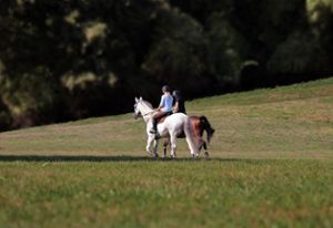 Sieht idyllisch aus: Zwei Reiter unterwegs auf einer Wiese. Doch es kommt zuweilen zu Konflikten. (Symbolfoto) Foto: pixabay
