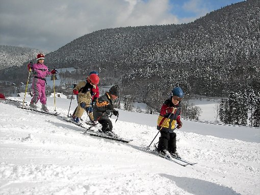 Für den Nachwuchs ist der Skihang mit Lift in Reinerzau, der vom Skiverein Alpirsbachc unterhalten und betrieben wird, besonders wichtig.  Foto: Krötz