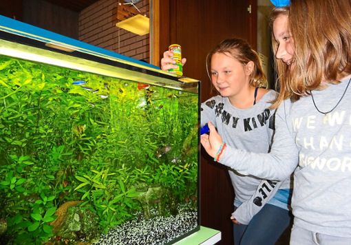 Die Schülerinnen freuen sich über die neuen Fische.  Foto: Schule Foto: Schwarzwälder Bote