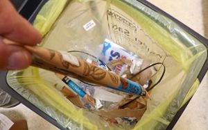 Sauber, sauber: Die Einwohner im Kreis Freudenstadt nehmen’s offenbar genau mit der Mülltrennung. Foto: Rath