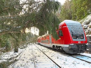 Der Zug steckt fest - Bäume waren auf Gleise und Waggons gestürzt. Foto: Weisser