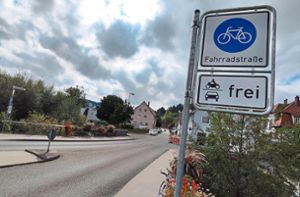 Gut und neu beschildert: Nagold hat jetzt eine Fahrradstraße. Foto: Hofmann
