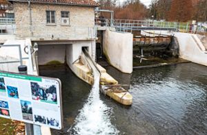In das städtische Wasserkraftwerk Rentschler wurde kräftig investiert. Noch schreibt die Stadt Verluste. Foto: Fritsch