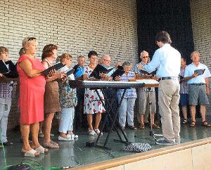 Der Emminger Liederkranz stand bei der Sängerhocketse in Rotfelden ebenfalls auf der Bühne.  Foto: Priestersbach Foto: Schwarzwälder-Bote