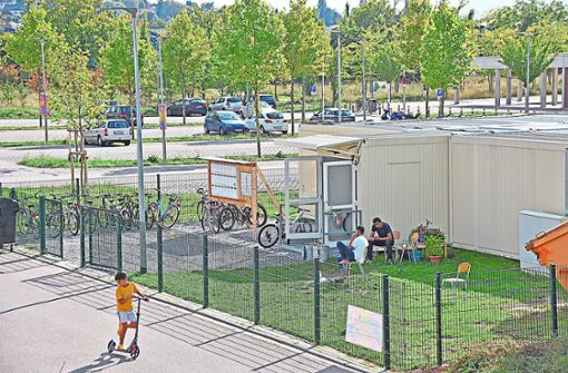 Containerunterkunft für Flüchtlinge an der Lahrer Ortenauhalle Foto: Kapitel-Stietzel