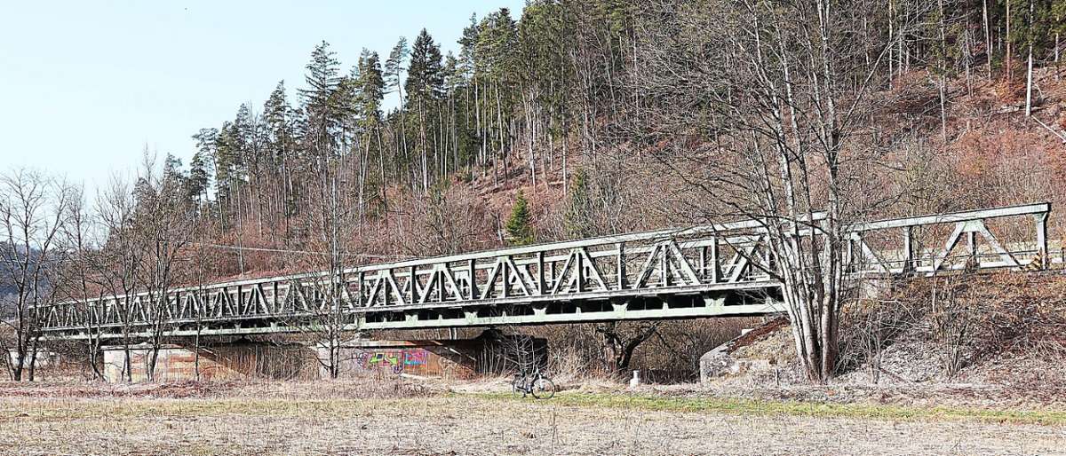Muss erneuert werden: die Eisenbahnbrücke über den Neckar bei Fischingen. Fotos: Schwind