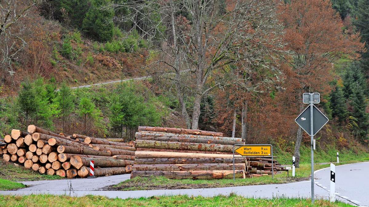 Waldarbeiten an der B 463: Rund 2100 Festmeter Holz eingeschlagen