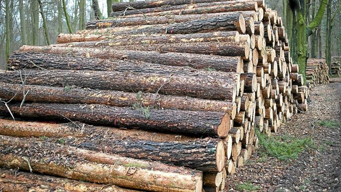 Holzvermarktung bekommt Hürden