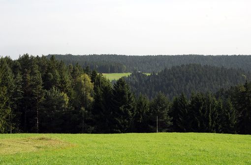 Für den Bereich Kapfwald-Falkenhöhe (im Hintergrund) hat die Windkraft Schonach  den Bau von vier Windrädern beantragt. Foto: Gräff