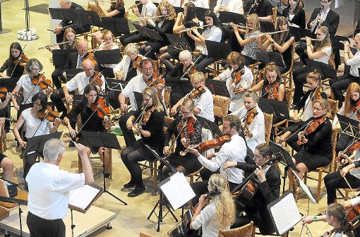 Bestens vorbereitet präsentierte das Nagolder Kammerorchester Werke der Klassik, der Romantik aber auch Modernes. Fotos: Fritsch Foto: Schwarzwälder-Bote