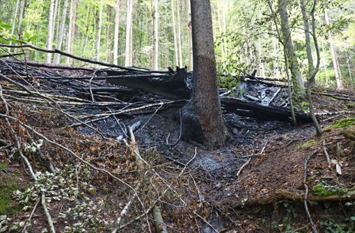 Im Calwer Wald hat es rund 20 Mal gebrannt. Der Verdächtige sitzt nun wieder in Haft. Foto: Wolfgang Krokauer