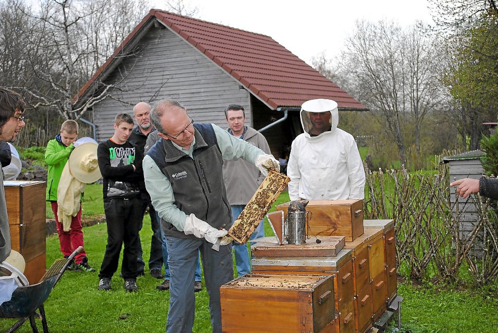 Hubertus Jörg hat an seinem Bienenstand ein Bienenvolk geöffnet. Fasziniert schauen die Jungimker zu. Foto: Leiser Foto: Schwarzwälder-Bote