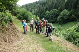 Rund um Schenkenzell, Wittichen und Kaltbrunn führte die Tour des örtlichen Schwarzwaldvereins.  Foto: Koch Foto: Schwarzwälder-Bote