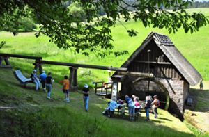Die Besucher an der Mooswaldmühle kamen auf ihre Kosten – wegen der Mühle, aber auch wegen der idyllischen Landschaft. Foto: Ziechaus