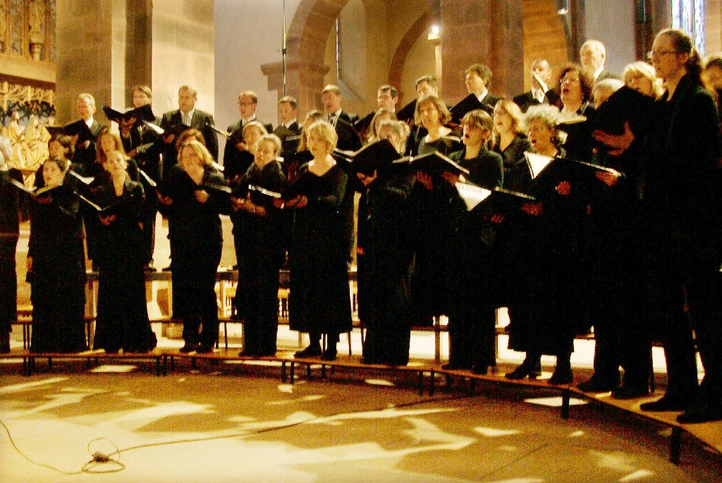 Beeindruckender Chor: Das Alsfelder Vokalensemble trat in der Alpirsbacher Klosterkirche auf.  Foto: Adrian Foto: Schwarzwälder-Bote