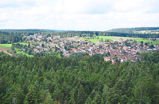 Der Wald in Schömberg ist noch in einem vergleichsweise guten Zustand. Foto: Krokauer