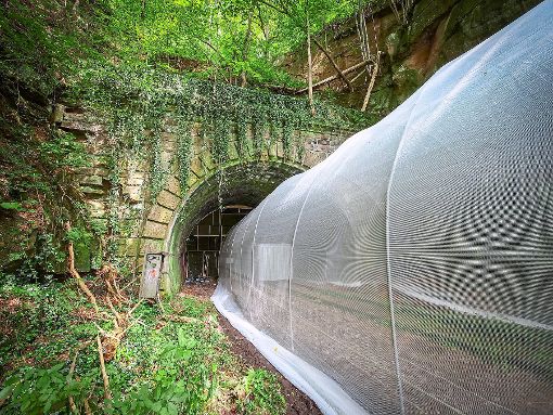 Können mithilfe einer Zwei-Kammer-Lösung die  Fledermäuse in dem alten Bahntunnel geschützt werden?  Erste Ergebnisse eines Versuchs  mit   Erdbeertunneln, wie sie in der Landwirtschaft eingesetzt werden, stimmen die Fachleute optimistisch.   Foto: Landratsamt