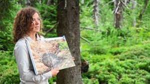 Nationalpark Schwarzwald stellt neues Programm vor