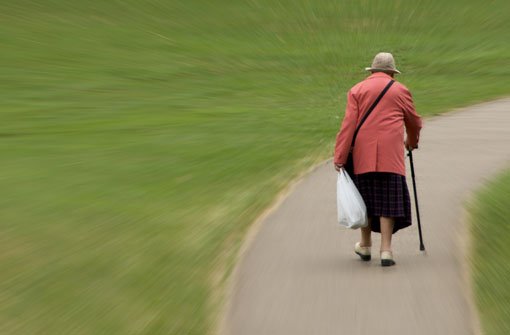Ein Dieb entreißt einer Seniorin die Einkaufstasche und flüchtet. (Symbolfoto) Foto: Shutterstock/Guy Erwood