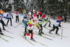 Die Ortsmeister  im Langlauf  ermittelt der Ski-Club Schönwald  am  Samstag, 10. März. Start ist um 14 Uhr. Foto: Archiv Foto: Schwarzwälder Bote