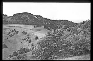 Der Blick vom Irrenberg zum nordwestlich gelegenen Hundsrücken im Jahre 1936:  Auf der  Schwarz-Weiß-Aufnahme von   Hans Schwenkel  ist der Anteil der  charakteristischen Holzwiesen  wesentlich höher als heute. Foto: /Hans Schwenkel
