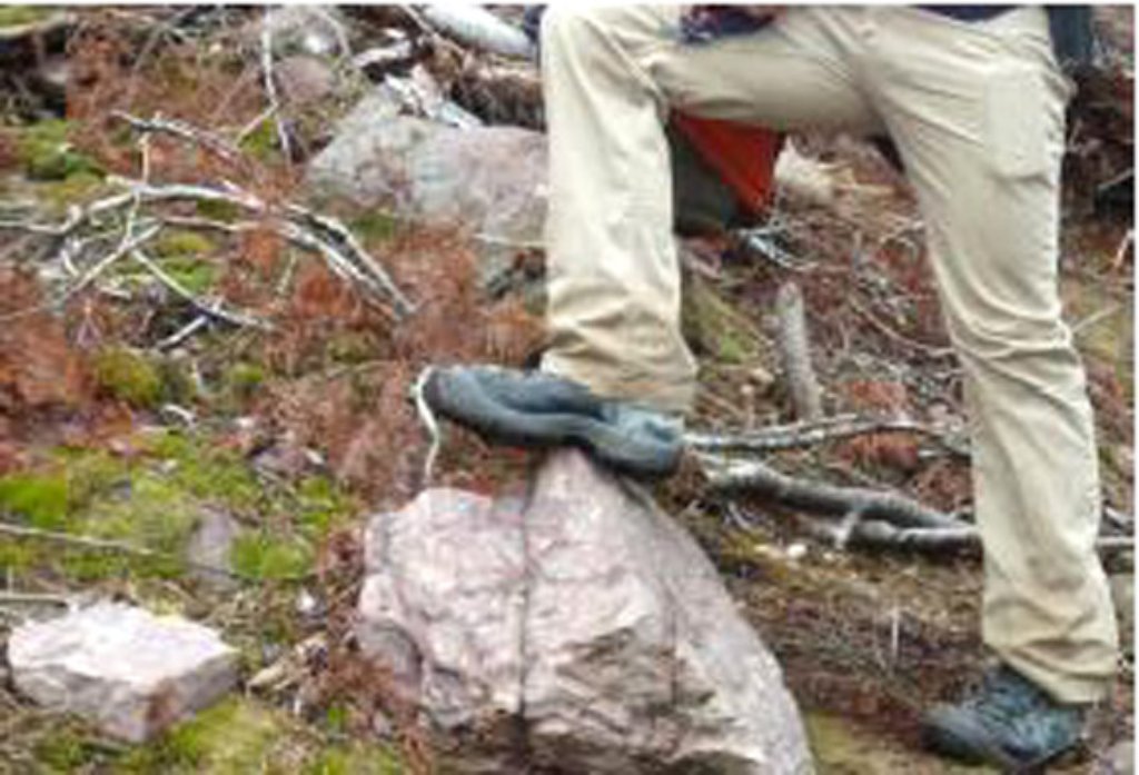 Vom Wald oberhalb der B462 droht Gefahr: Es gibt zahlreiche instabile Steinblöcke mit 200 bis 300 Kilogramm Gewicht.