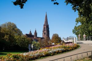Die Aussicht vom Stadtgarten aufs Münster in Freiburg. Foto: © FWTM/Baschi_Bender