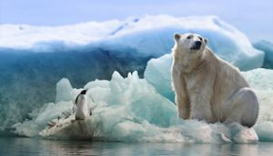 Auch  der Eisbär wurde zur bedrohten Tierart erklärt.  Foto: Pixabay Foto: Schwarzwälder Bote