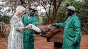 Königin Camilla füttert kleinen Elefanten