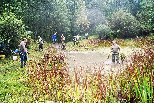Das Biotop Sandgrube pflegen die Mitglieder des Albaquarium-Vereins. Foto: Müller Foto: Schwarzwälder-Bote