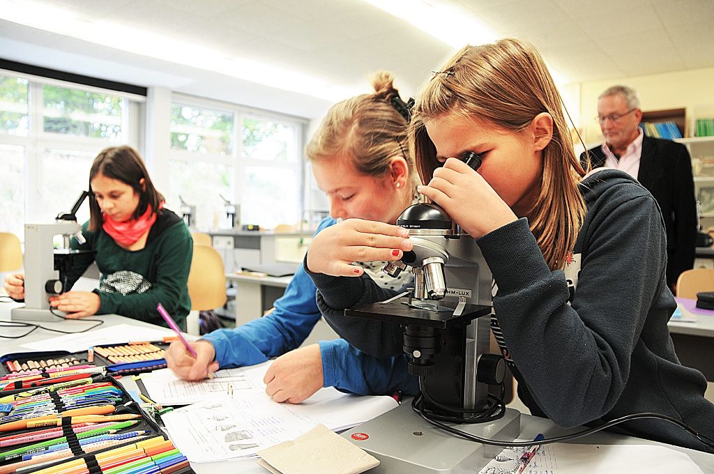 Beim Biologie-Praktikum schauten die Schüler durch das Mikroskop und entdeckten neue Welten. Foto: Fischer Foto: Schwarzwälder-Bote