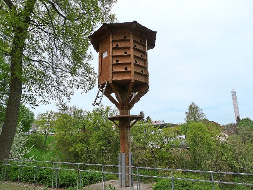 Die  Taubenhäuser in der Stadt sollen wiederbelebt werden – ob an diesem Standort im Bockshof ist angesichts der Hängebrückenpläne allerdings fraglich.  Foto: Otto