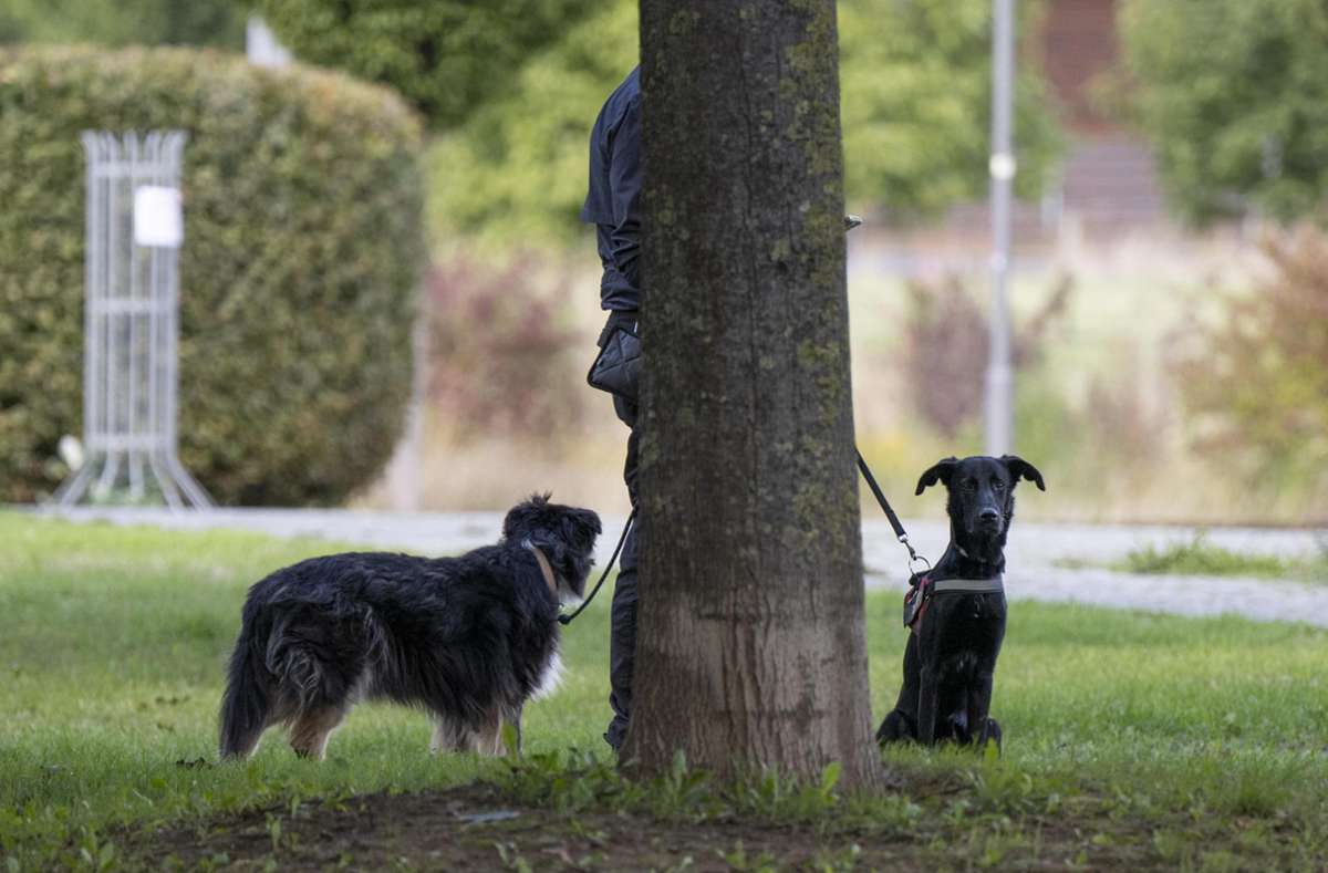 Giftköder für Hunde oder andere Tiere machen immer wieder Schlagzeilen. (Symbolfoto) Foto: Roessler/dpa
