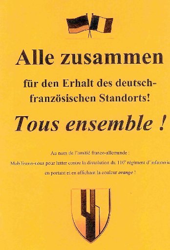 Flugblätter und Plakate im Namen der deutsch-französichen Freundschaft in Orange. Gestern  tauchten sie in Donaueschingen auf und beschwören den Zusammenhalt.  Foto: Filipp