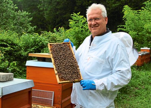 Zum Glück von der Faulbrut verschont: Bienensachverständiger Ludger Schmitt zeigt die Vitalität in einem seiner Bienenstöcke nahe Arnbach. Foto: Schwarzwälder Bote