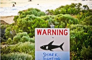 In Australien ist ein Surfer nach einem Hai-Angriff gestorben (Symbolfoto). Foto: Rebecca Le May/AAP/dpa/Rebecca Le May