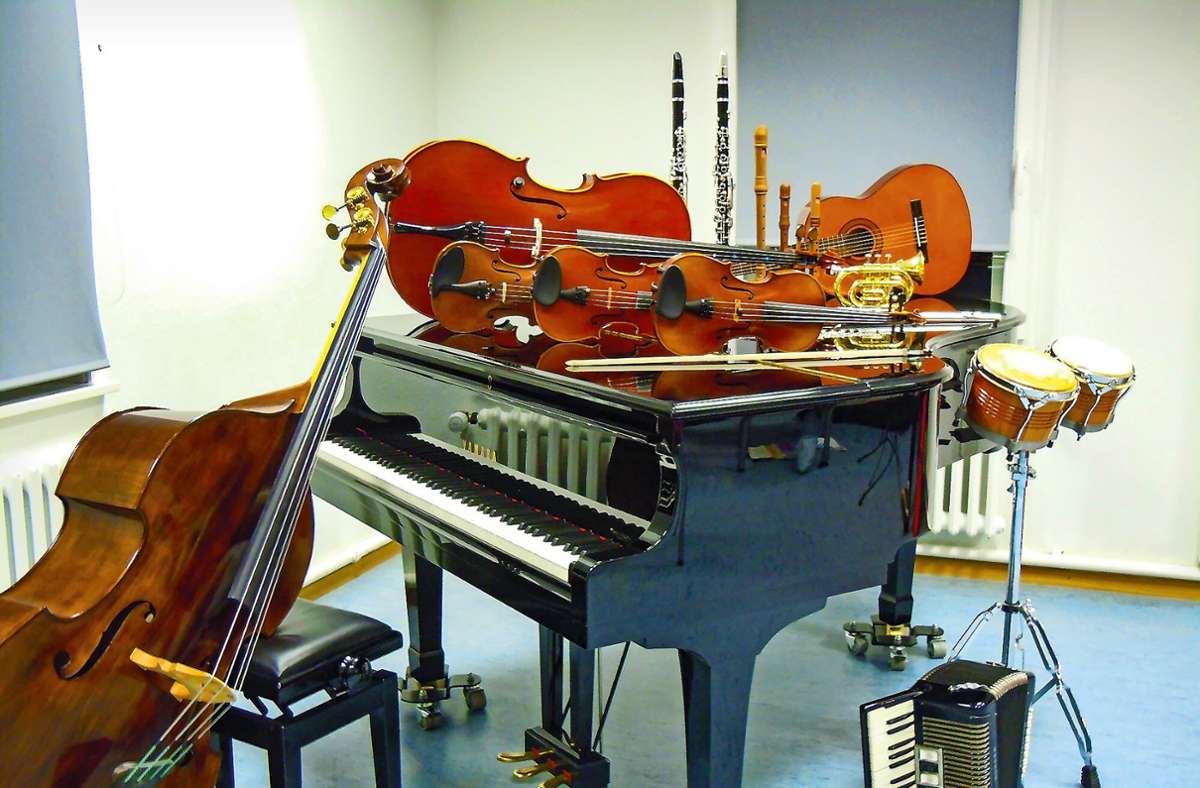 In Wildbergs Musikschule kann man eine ganze Menge Instrumente kennenlernen. Foto: Jacqueline Geisel