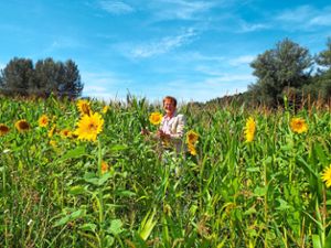 Luise Lohrmann und andere Landwirte im Zollernalbkreis haben an und in  Feldern sowie auf Brachflächen Blumen und andere Blühpflanzen gesät, die Nahrung für Insekten bieten sollen.  Fotos: Schnurr Foto: Schwarzwälder Bote
