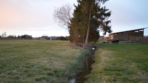 Der Oberlauf des Heimbachs/Rotbachs soll mit Gumpen revitalisiert werden. Zudem sind Gehölzpflanzungen für die Beschattung geplant. Foto: Herzog