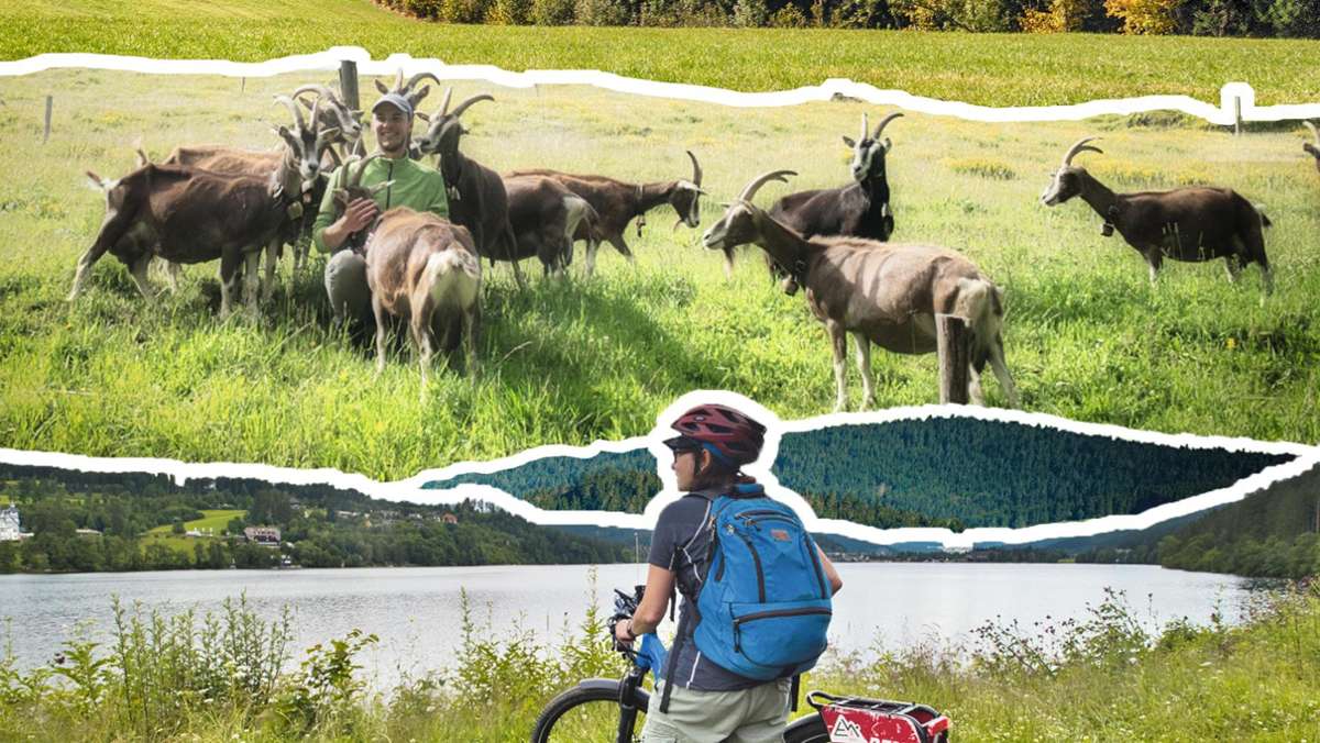Urlaub mit gutem Gewissen: Nachhaltig reisen? Ein Selbstversuch im Schwarzwald
