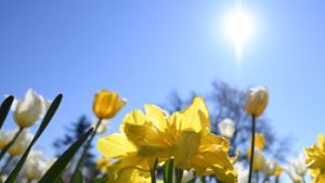 Viel Sonne und milde Temperaturen an Ostern