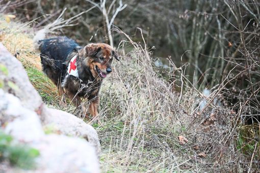 Polizei und Rettungsdienst durchforsteten mit Suchhunden die Umgebung. (Symbolfoto) Foto: Schwarzwälder Bote