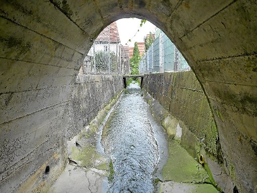 Maßnahmen zum Hochwasserschutz werden in den kommenden Jahren den Haushalt der Gemeinde Gechingen prägen. Ein Bypass soll beispielsweise den Kanal zwischen Brücke Bergwaldsteige und Feuerlöschteich entlasten.  Foto: Selter-Gehring