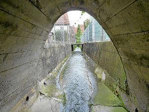 Maßnahmen zum Hochwasserschutz werden in den kommenden Jahren den Haushalt der Gemeinde Gechingen prägen. Ein Bypass soll beispielsweise den Kanal zwischen Brücke Bergwaldsteige und Feuerlöschteich entlasten.  Foto: Selter-Gehring